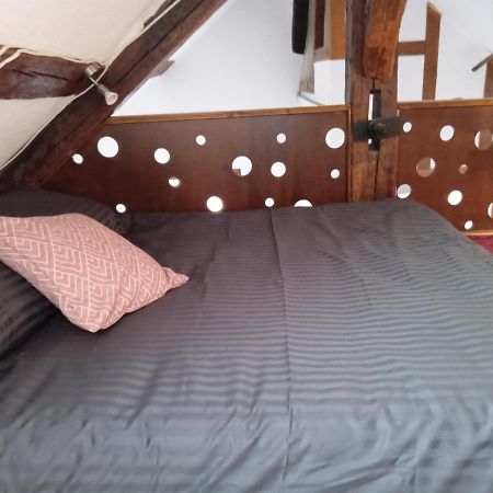 Auxerre - Abbaye Saint Germain Apartman Kültér fotó