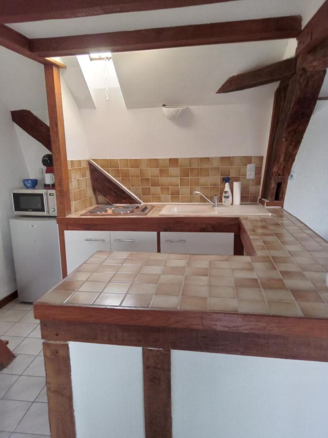 Auxerre - Abbaye Saint Germain Apartman Kültér fotó