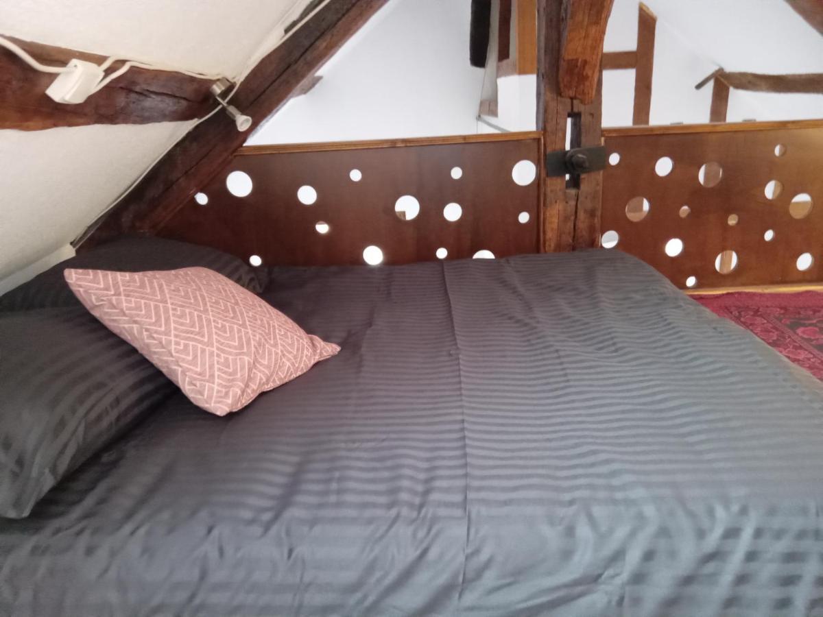 Auxerre - Abbaye Saint Germain Apartman Kültér fotó